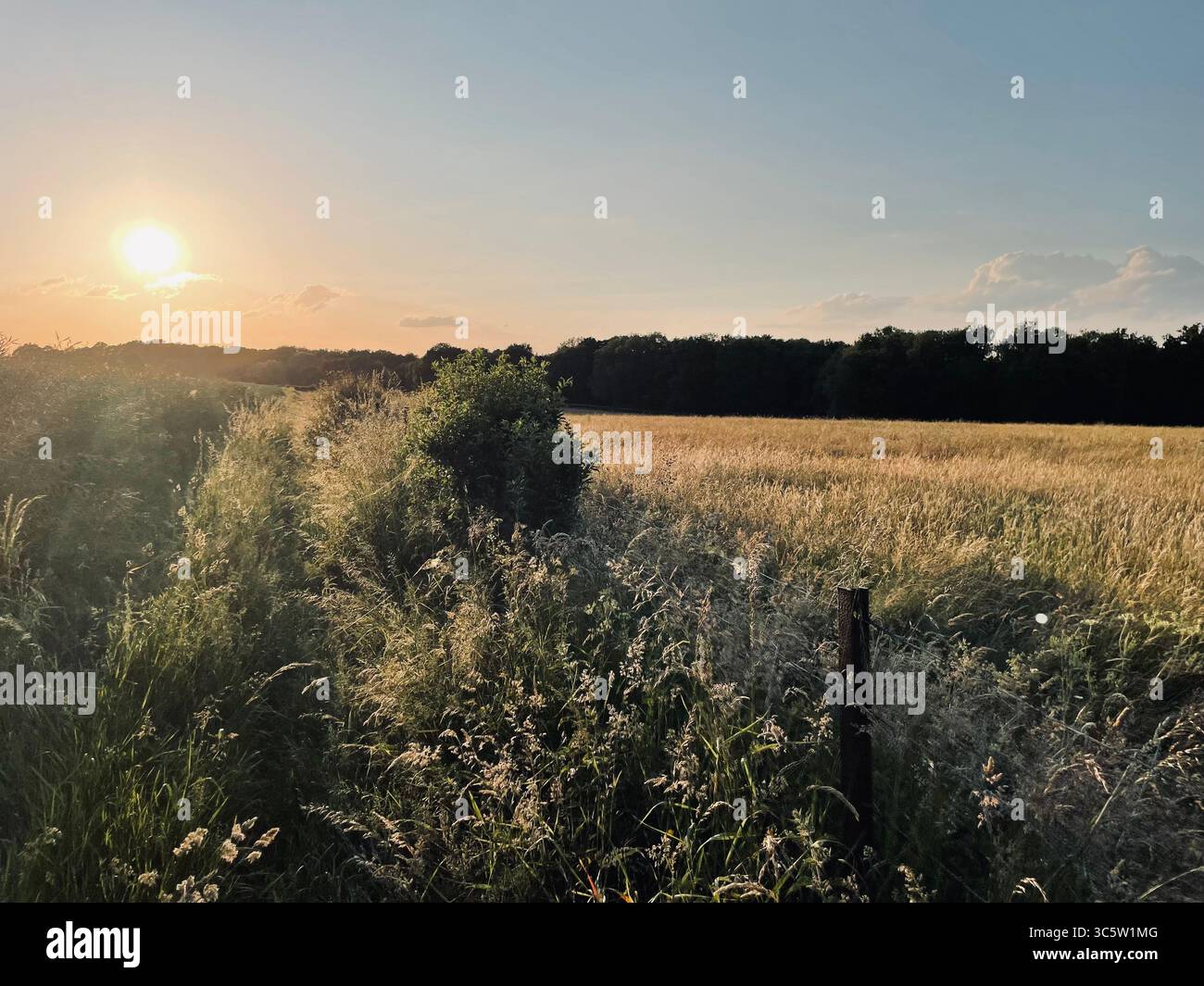 The sunsets with the nature from different situations - Smartphone Captured Stock Image