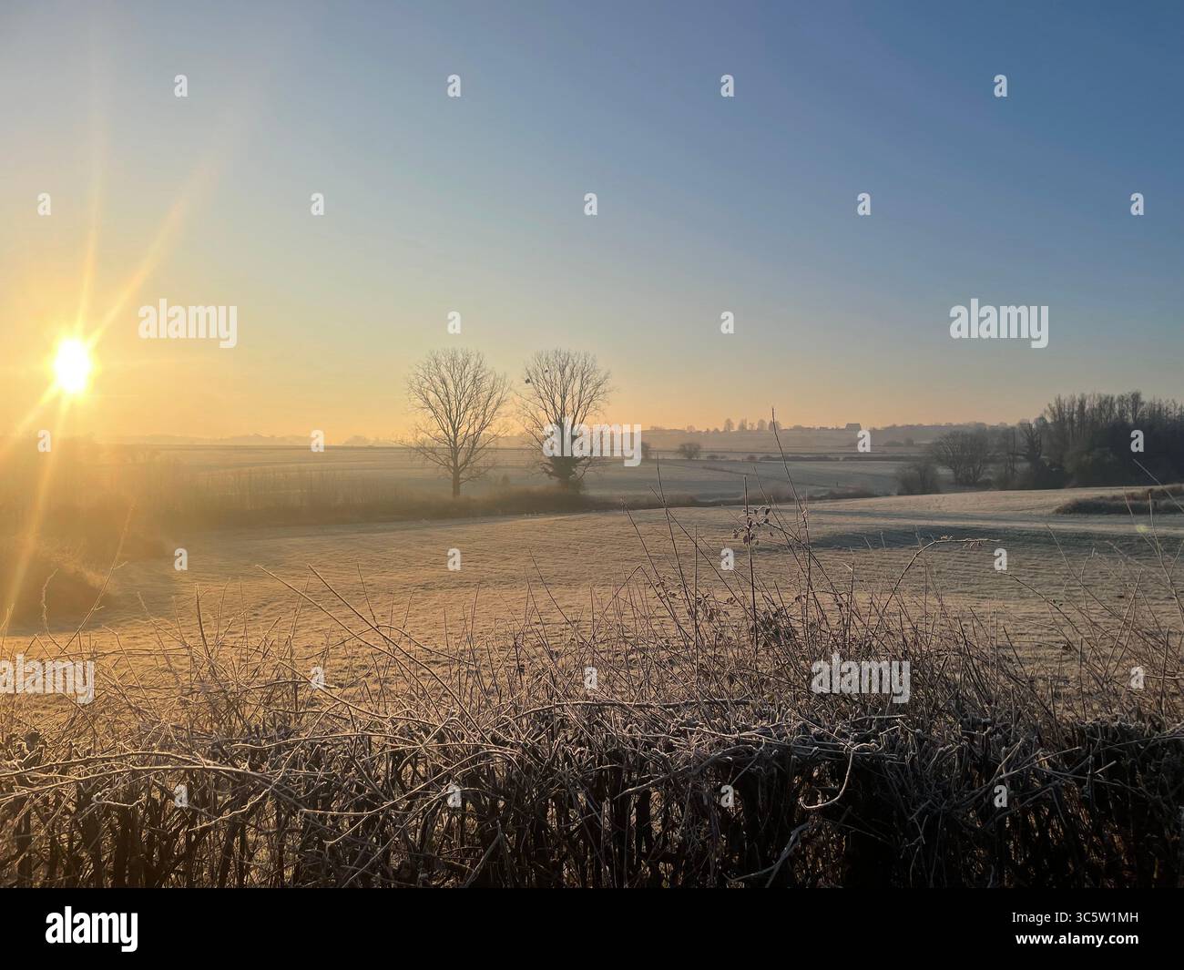 The sunsets with the nature from different situations - Smartphone Captured Stock Image