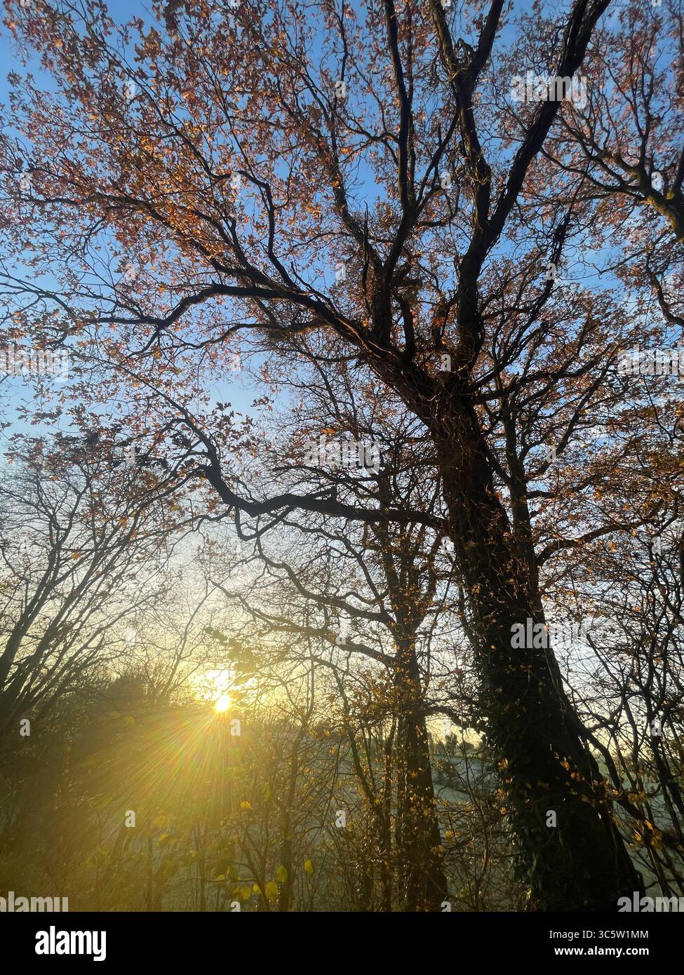 The sunsets with the nature from different situations - Smartphone Captured Stock Image