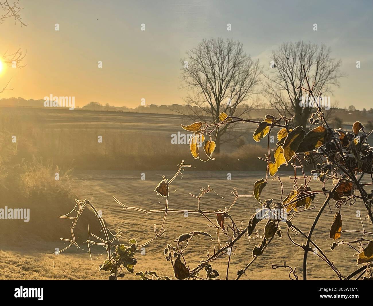 The sunsets with the nature from different situations - Smartphone Captured Stock Image