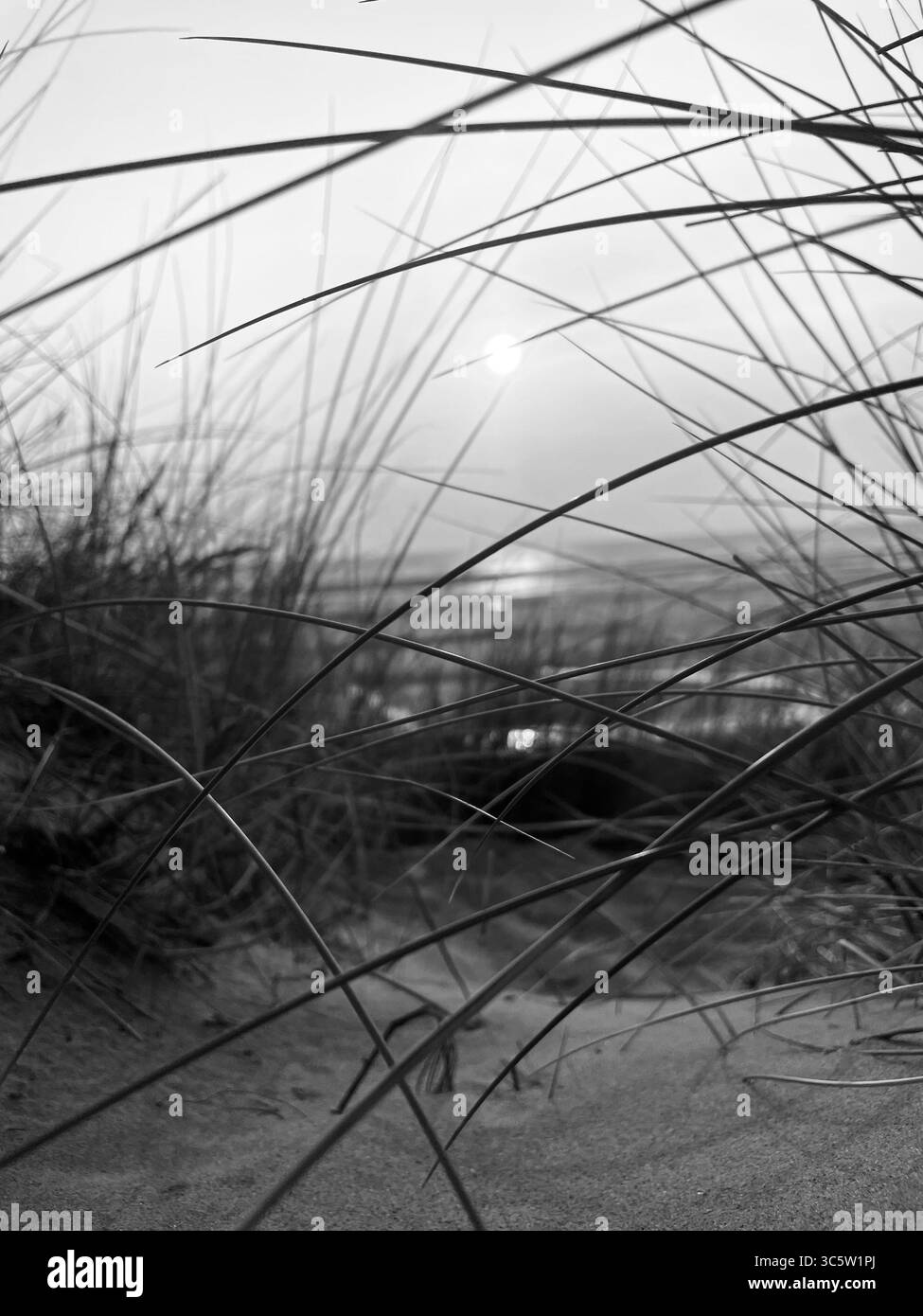 The sunsets with the nature from different situations - Smartphone Captured Stock Image