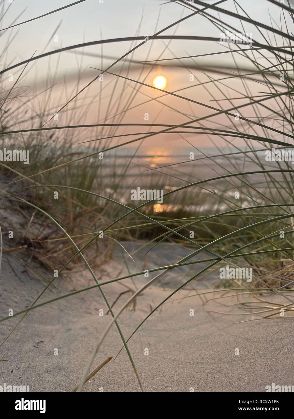 The sunsets with the nature from different situations - Smartphone Captured Stock Image