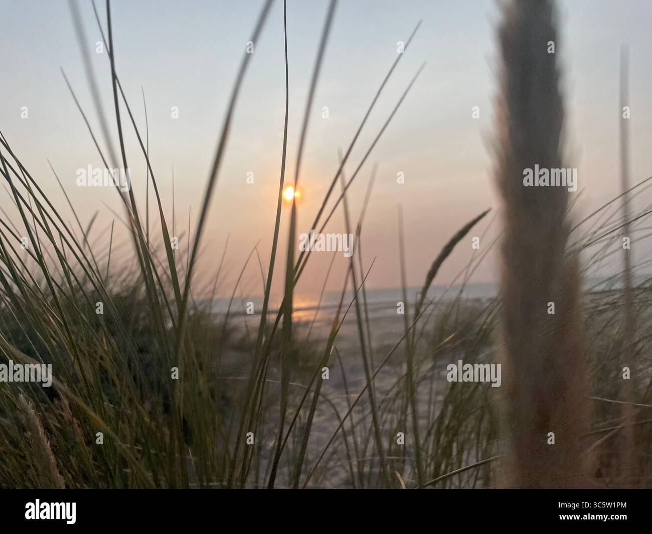 The sunsets with the nature from different situations - Smartphone Captured Stock Image