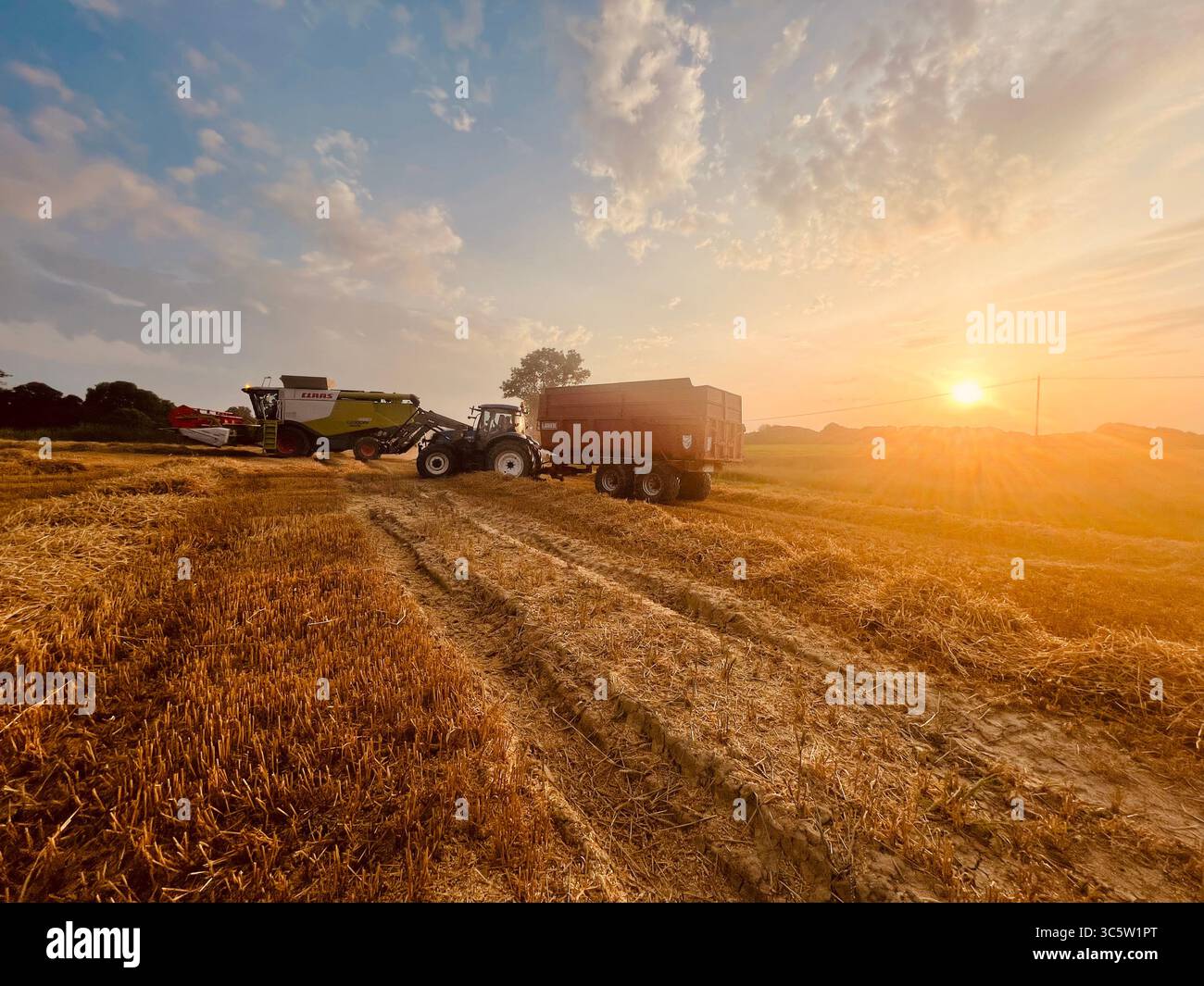 The sunsets with the nature from different situations - Smartphone Captured Stock Image