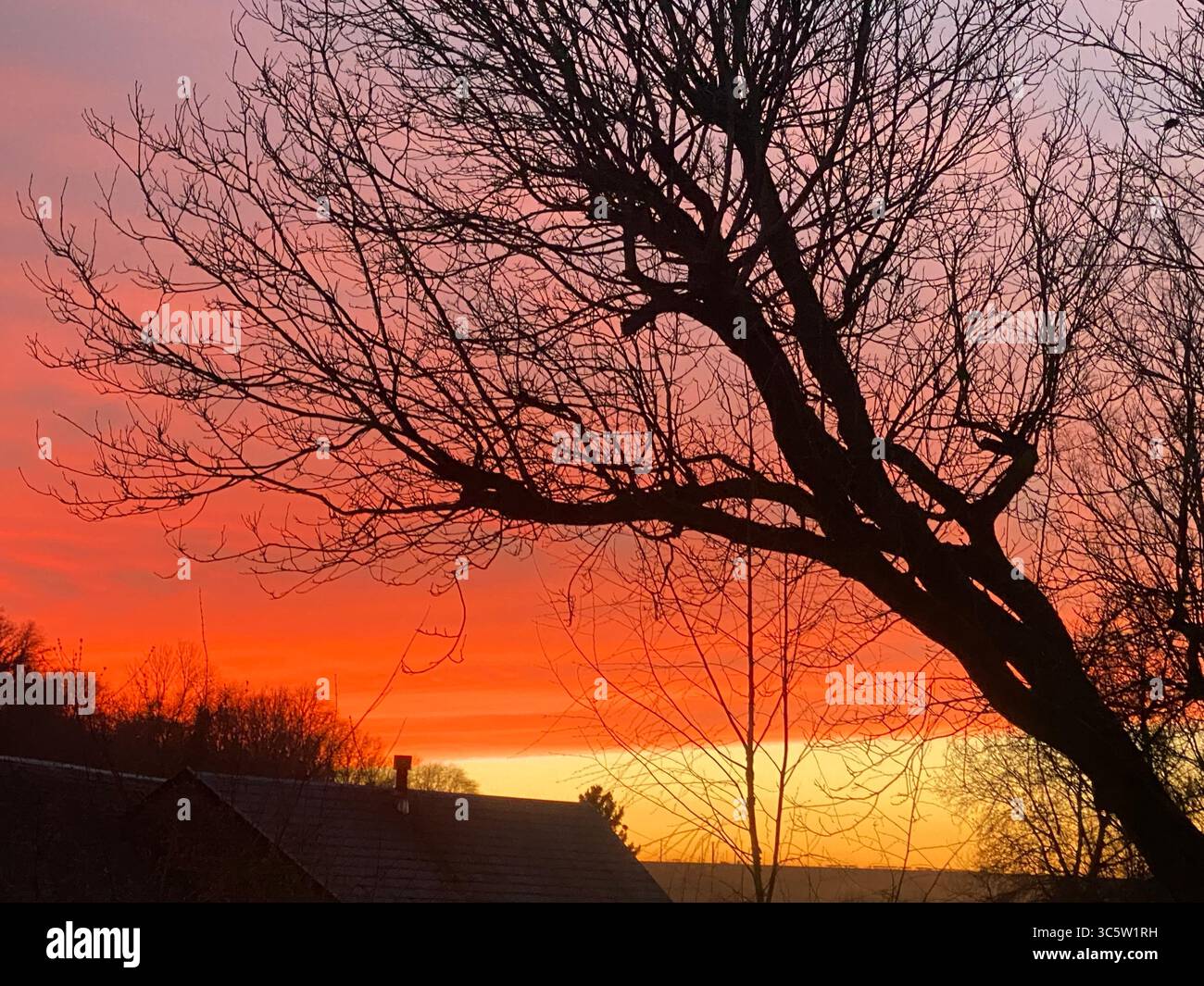 The sunsets with the nature from different situations - Smartphone Captured Stock Image