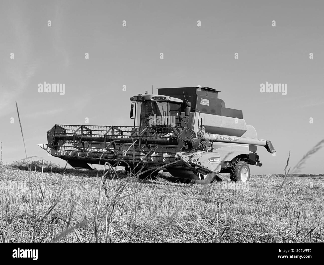 Champs de blé Black and White Stock Photos & Images - Alamy