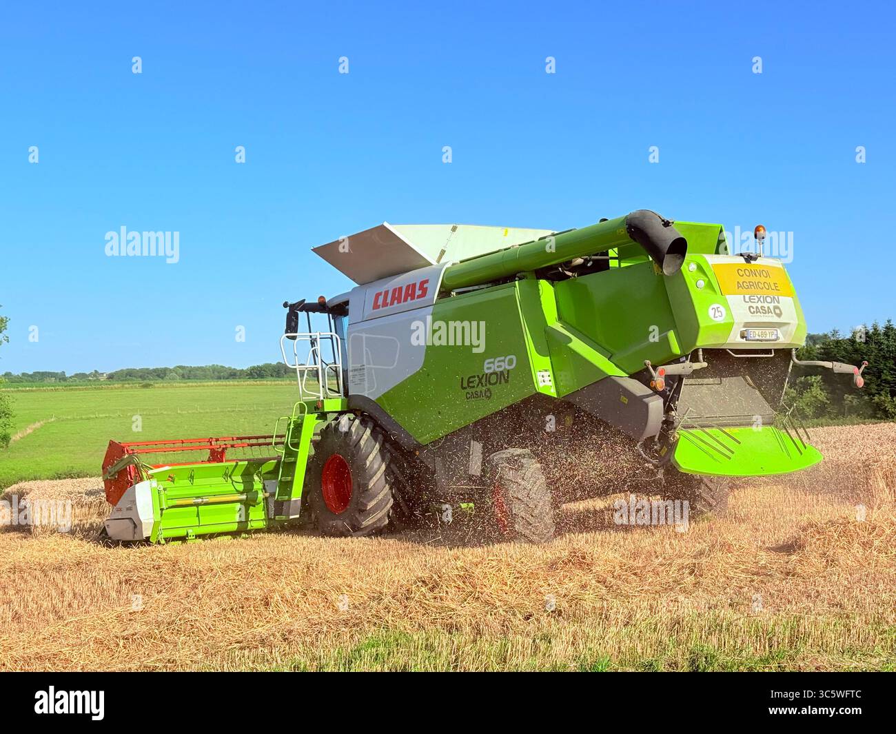 La moisson de blé 2025 dans le Nord de la France, le blé dans toutes ses étapes de récoltes et ses beaux engins New Holland et Claas dans l'action j - Smartphone Captured Stock Image