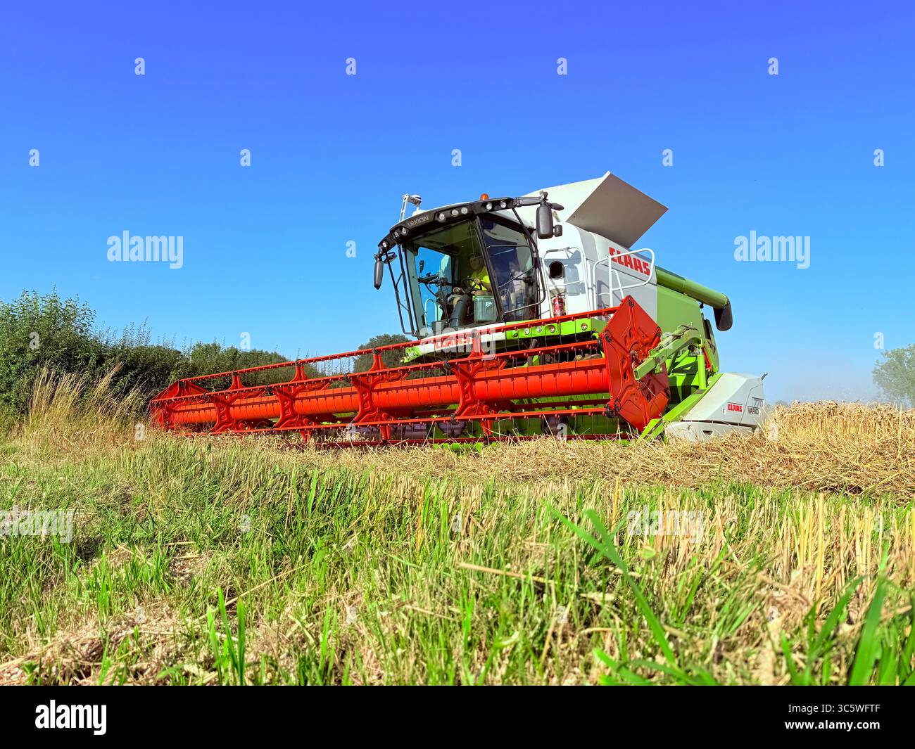 La moisson de blé 2025 dans le Nord de la France, le blé dans toutes ses étapes de récoltes et ses beaux engins New Holland et Claas dans l'action j - Smartphone Captured Stock Image