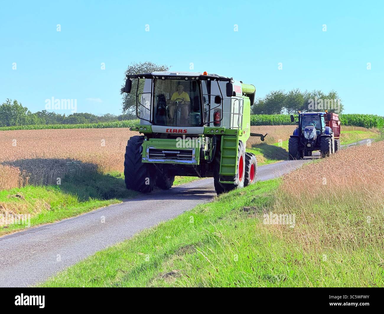 La moisson de blé 2025 dans le Nord de la France, le blé dans toutes ses étapes de récoltes et ses beaux engins New Holland et Claas dans l'action j - Smartphone Captured Stock Image