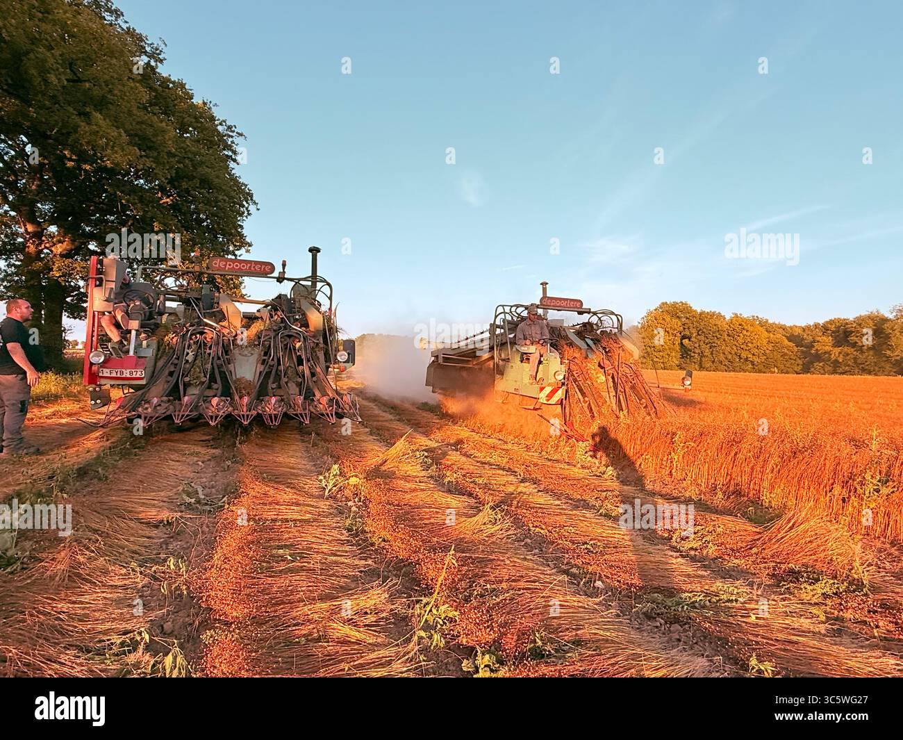La moisson de blé 2025 dans le Nord de la France, le blé dans toutes ses étapes de récoltes et ses beaux engins New Holland et Claas dans l'action j - Smartphone Captured Stock Image