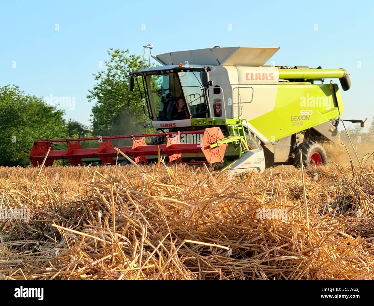 La moisson de blé 2025 dans le Nord de la France, le blé dans toutes ses étapes de récoltes et ses beaux engins New Holland et Claas dans l'action j - Smartphone Captured Stock Image