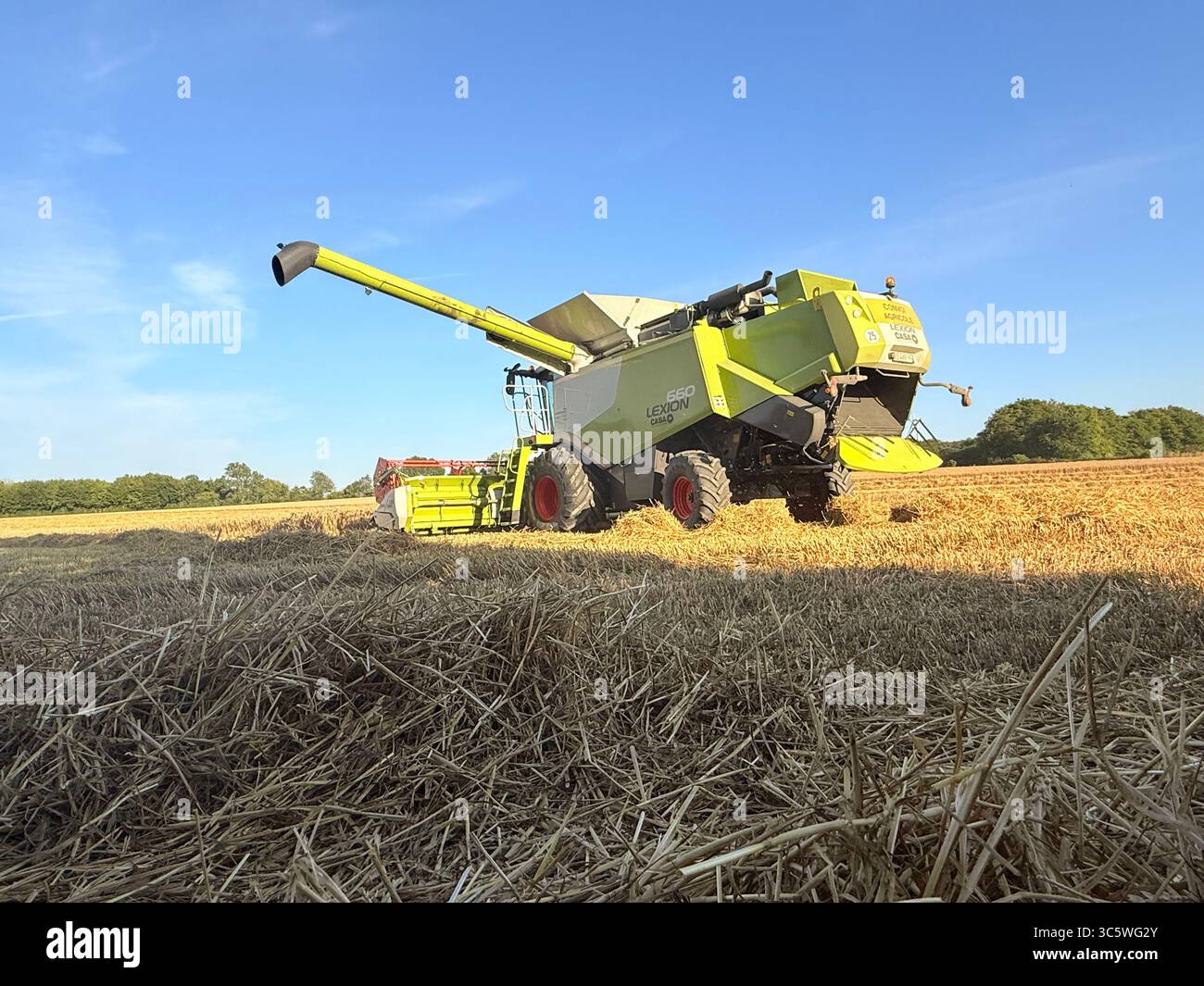 La moisson de blé 2025 dans le Nord de la France, le blé dans toutes ses étapes de récoltes et ses beaux engins New Holland et Claas dans l'action j - Smartphone Captured Stock Image