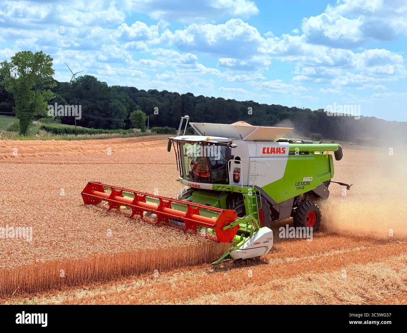 La moisson de blé 2025 dans le Nord de la France, le blé dans toutes ses étapes de récoltes et ses beaux engins New Holland et Claas dans l'action j - Smartphone Captured Stock Image