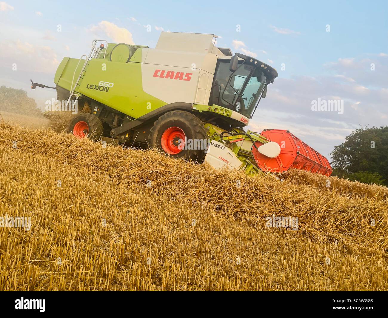 La moisson de blé 2025 dans le Nord de la France, le blé dans toutes ses étapes de récoltes et ses beaux engins New Holland et Claas dans l'action j - Smartphone Captured Stock Image