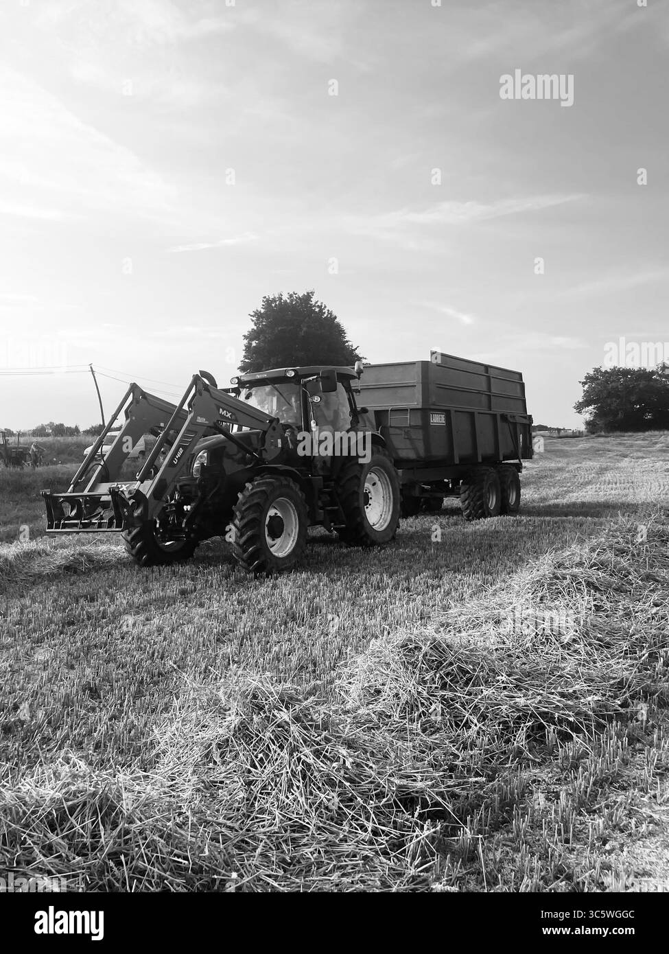 La moisson de blé 2025 dans le Nord de la France, le blé dans toutes ...