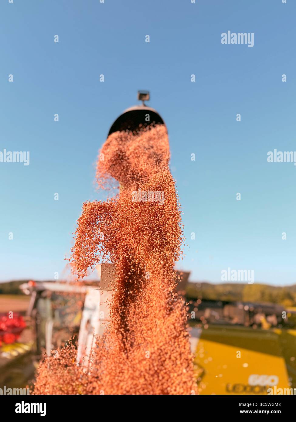 La moisson de blé 2025 dans le Nord de la France, le blé dans toutes ses étapes de récoltes et ses beaux engins New Holland et Claas dans l'action j - Smartphone Captured Stock Image