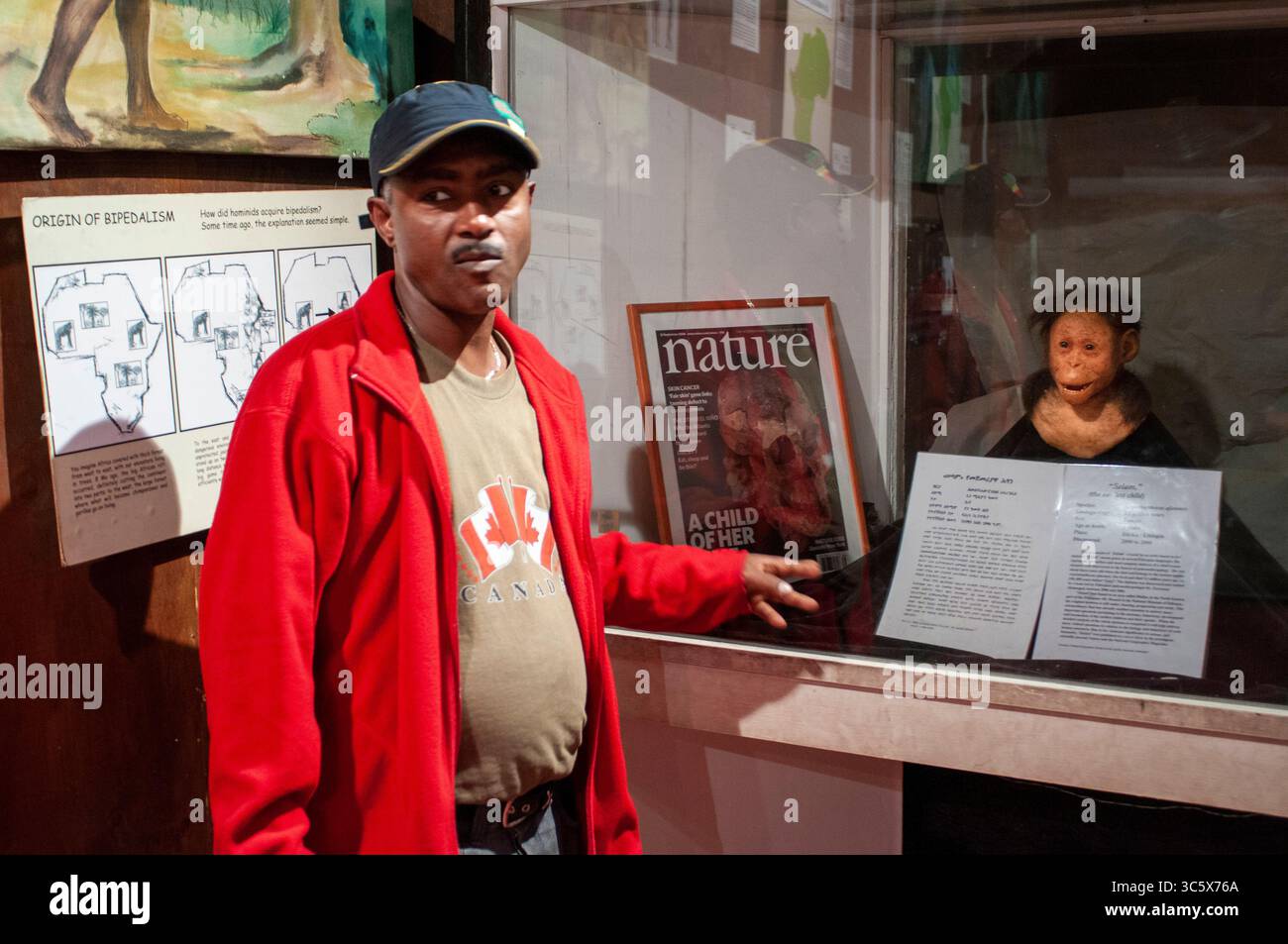 July 16, 2012, Ethiopia: Lucy in National Archaeological Museum in Addis Ababa, Ethiopia. Ardi, Ardipithecus ramidus, replica of 4.4 million old ancestor, National Museum of Ethiopia, Addis Ababa, Ethiopia (Credit Image: © Sergi Reboredo/ZUMA Wire) Stock Photo