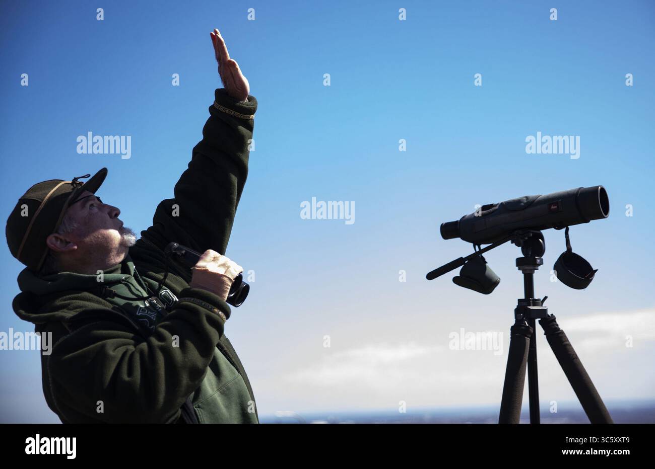 Hawks identify hi-res stock photography and images - Alamy