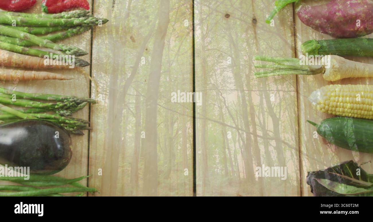 Displaying assorted fresh vegetables lining wooden plank surface, with translucent forest overlay Stock Photo
