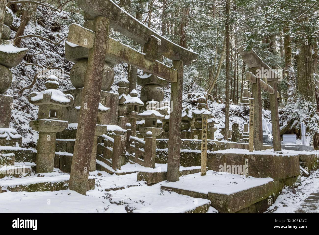 February 18, 2020, Koyasan, Wakayama, Japan: Torri stone Gates in the Okunoin grave yard, Okunoin is the site of the mausoleum of Kobo Daishi  buddhist monk, the founder of Shingon Buddhism and one of the most revered person in the religiouse history of Japan. (Credit Image: © Gavriel Jecan/VW Pics via ZUMA Wire) Stock Photo
