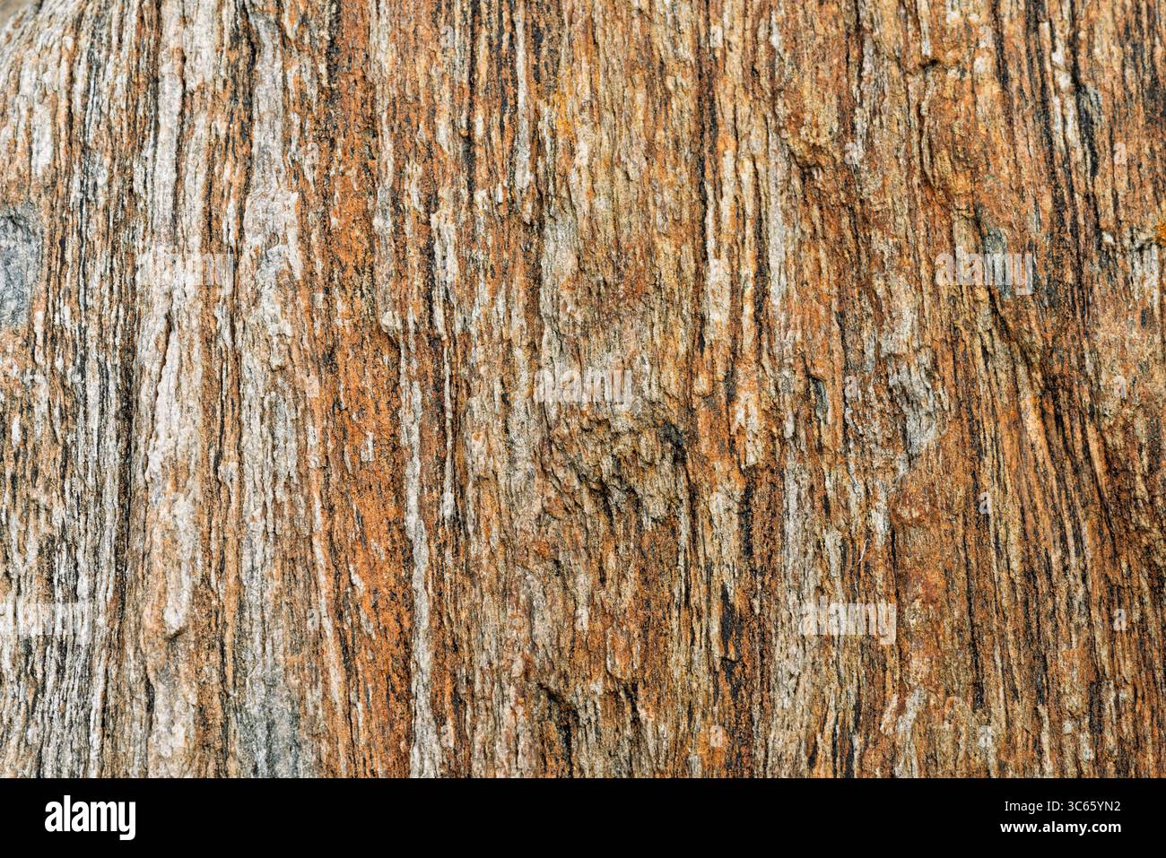 Detailed look rugged rock hi res stock photography and images Alamy