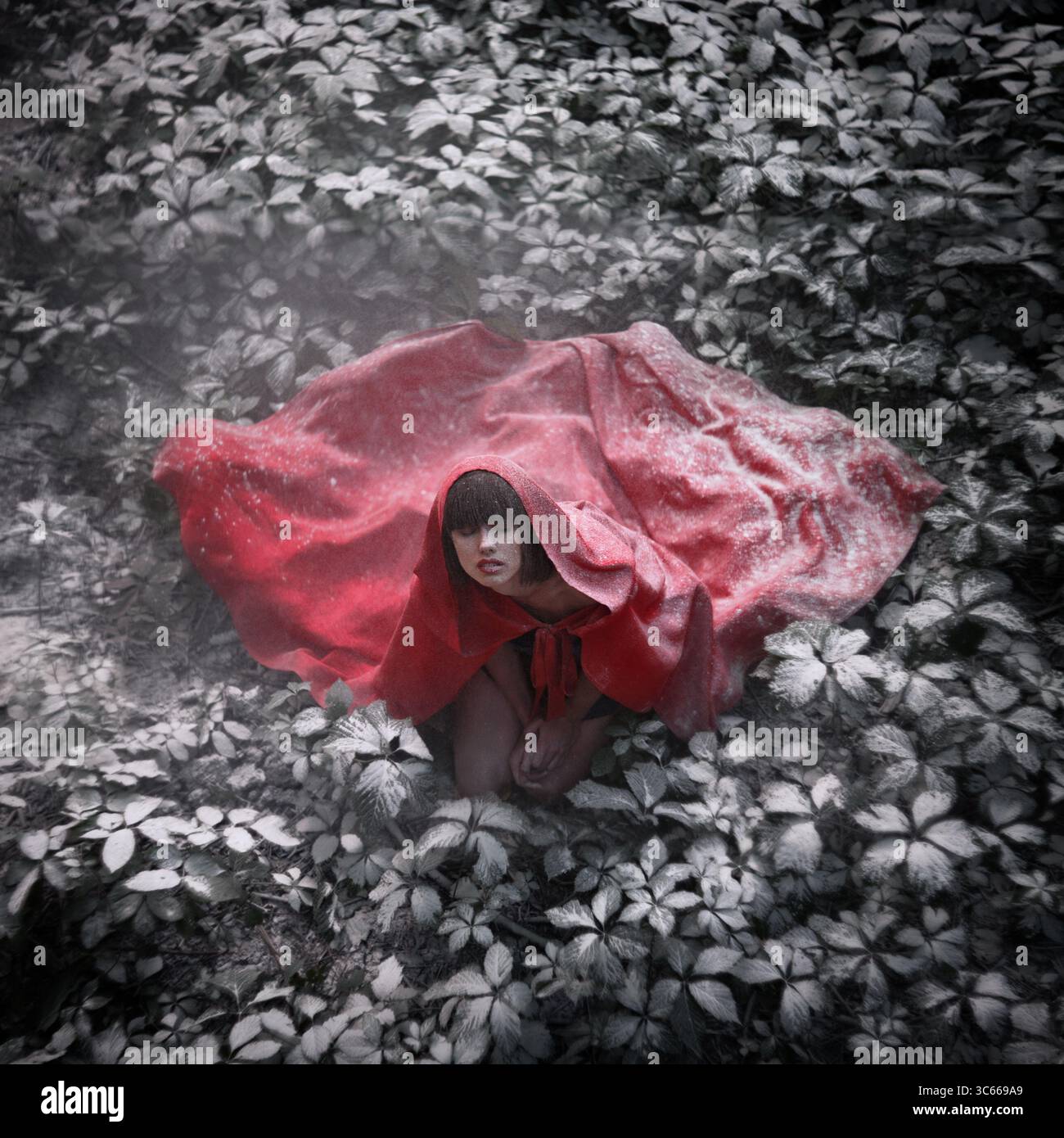 Figure stands amidst lush hi-res stock photography and images - Alamy