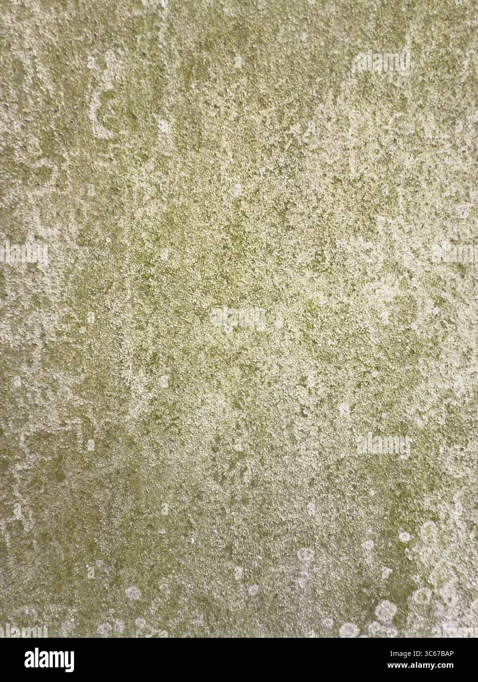 Close-up of a weathered rendered wall with moss and natural grime, creating a detailed texture suitable for backgrounds or abstract design use. - Smartphone Captured Stock Image