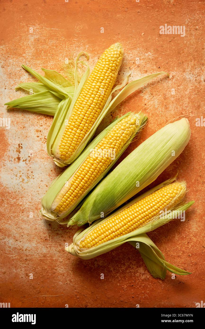 Fresh corn on the cob with husks on a rustic surface Stock Photo