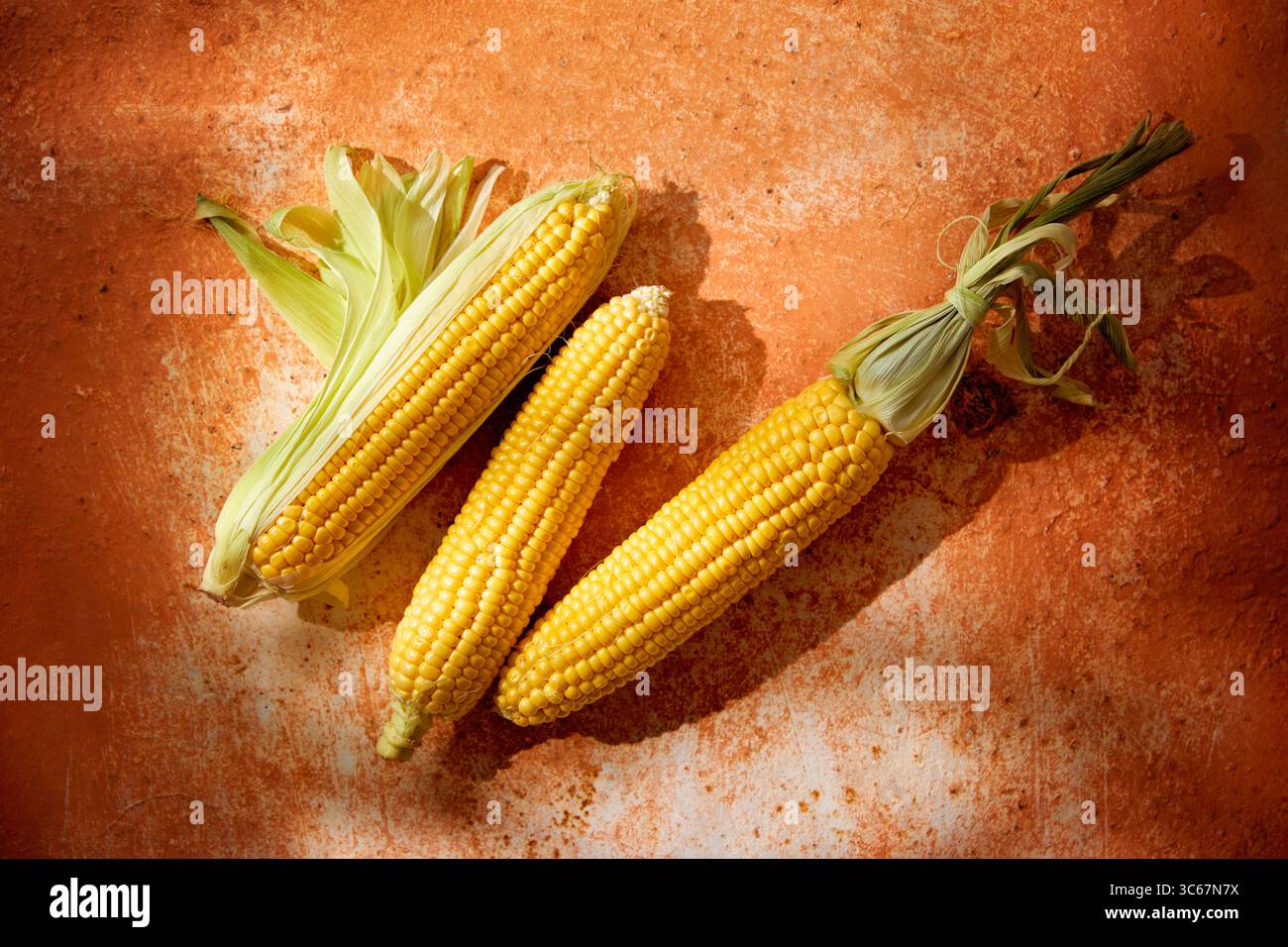 Fresh corn on the cob on a rustic surface Stock Photo
