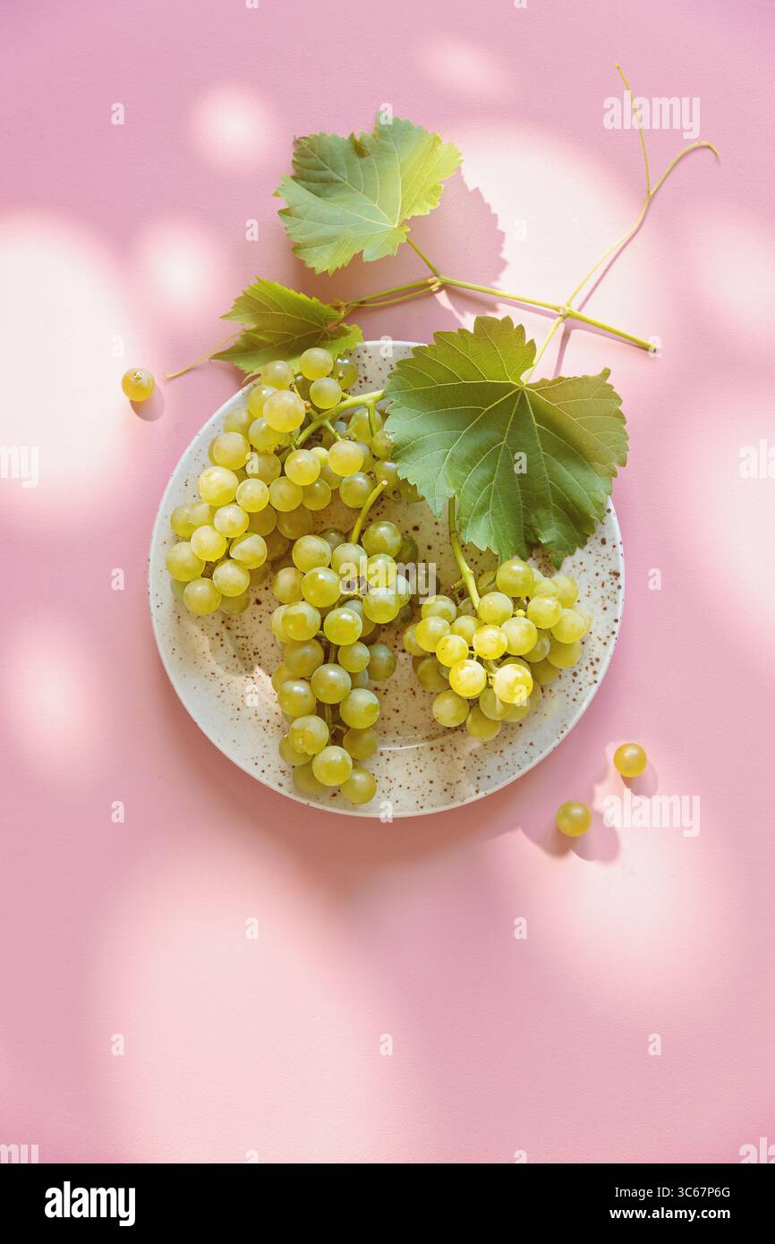 Fresh grapes in sunlight on ceramic plate, flat lay. Stock Photo