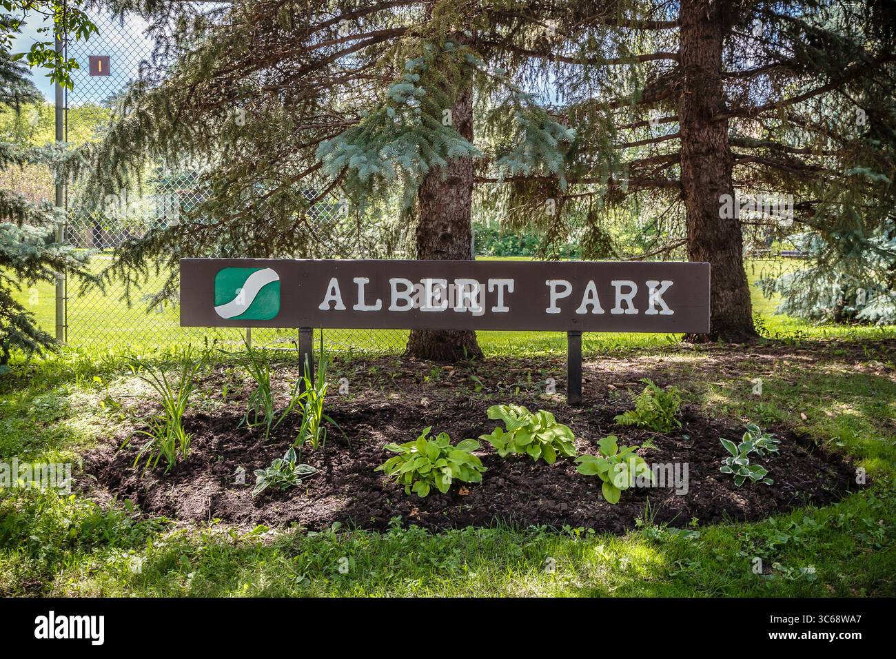 Sign for Albert Park is in front of a tree. The sign is green and brown ...