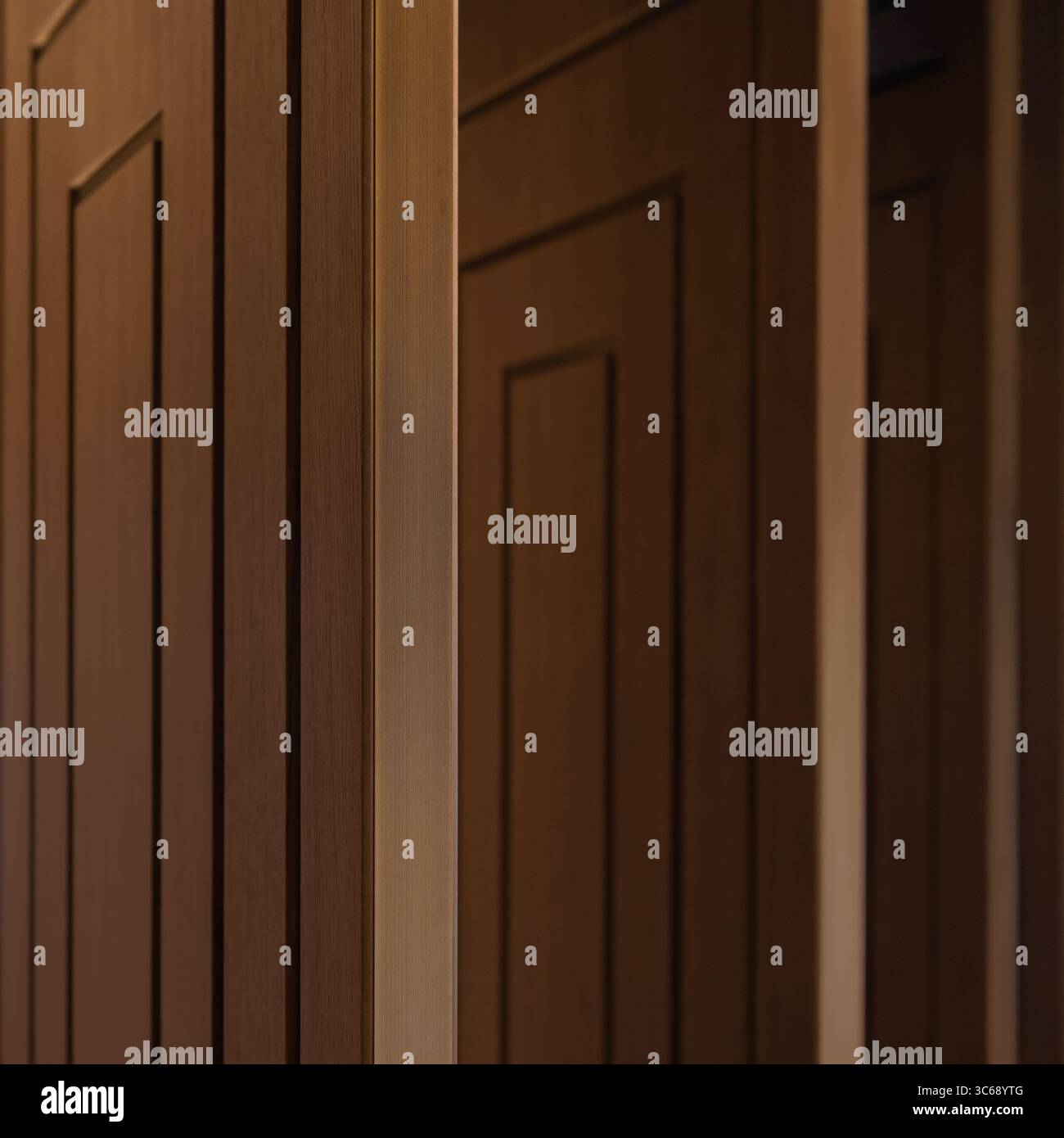 Brown wooden doors inside a dark room. Two opened brown doors with rectangular pattern and brass inserts. Stock Photo
