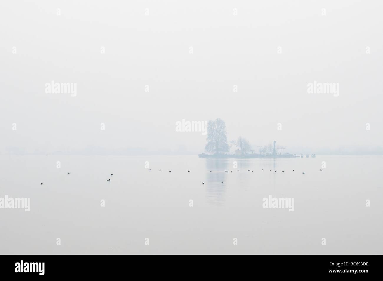 An island in Dahl Lake, Srinagar on a misty morning, India Stock Photo
