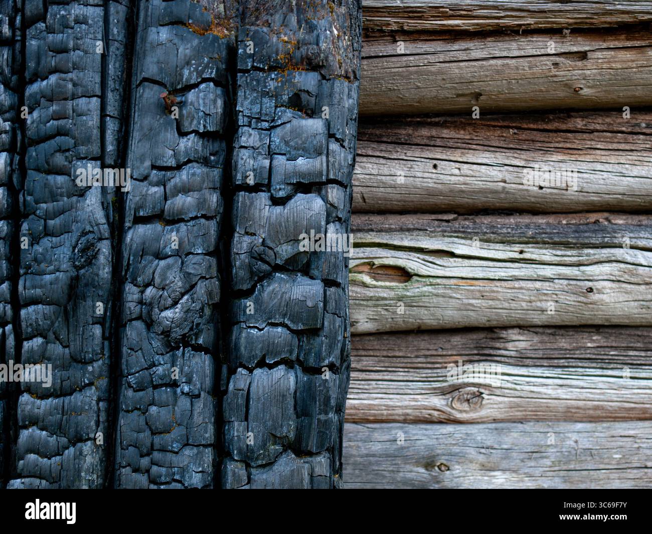 Close-up texture showing contrasting weathered wood surfaces - charred ...