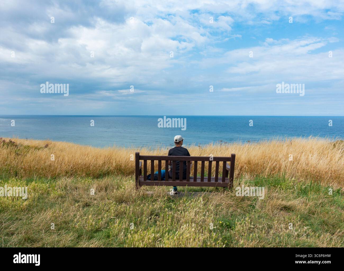 North York Moors National Park, England. UK. 31st July, 2025. Bright and breezy weather on The Cleveland Way National trail near Staithes on the North Yorkshire coast. Credit: Alan Dawson/Alamy Live News Stock Photo