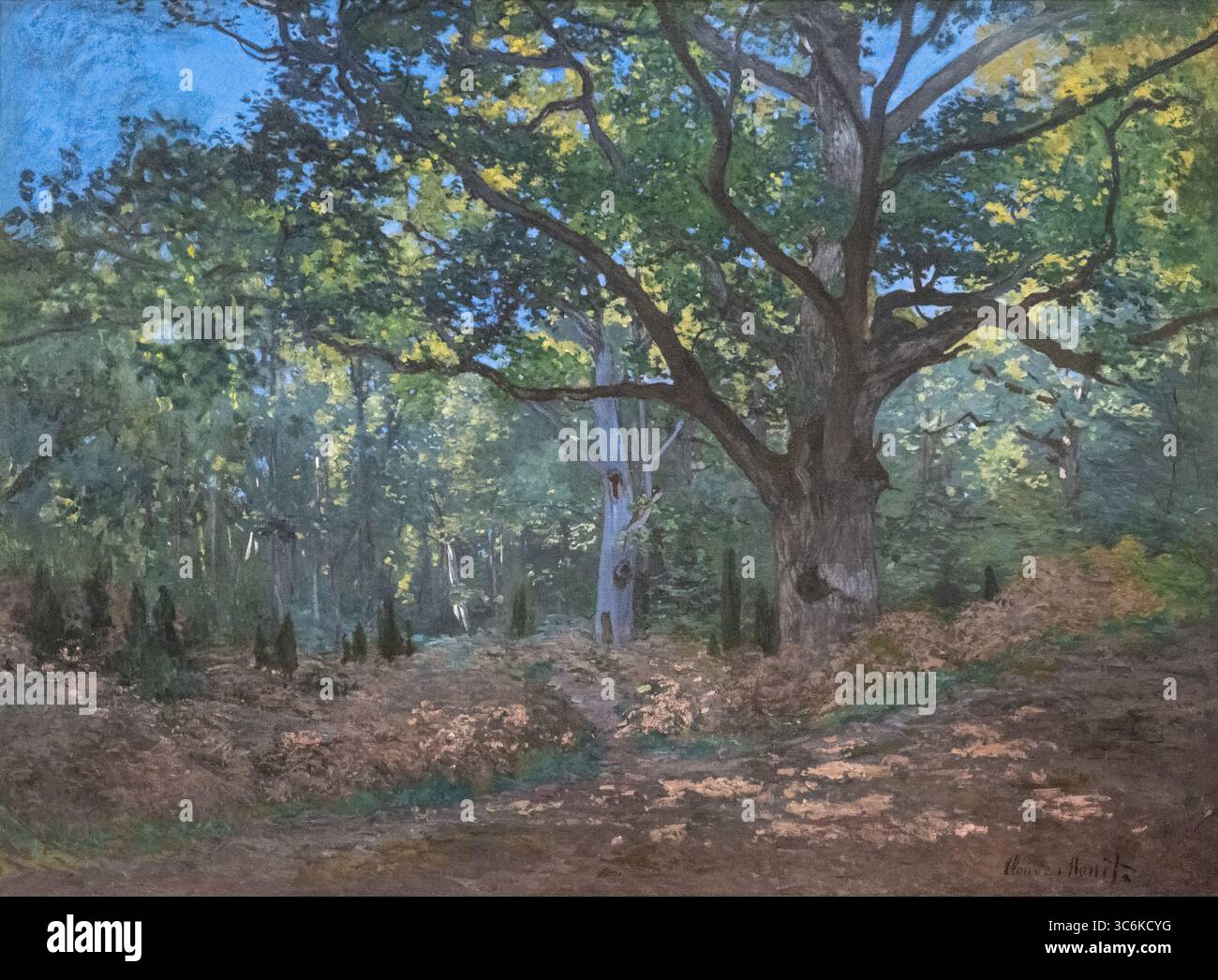 forest of fontainebleau'; monet hi-res stock photography and