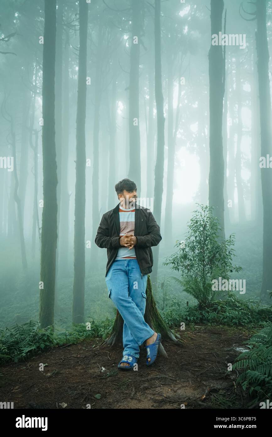 Self-portrait of a man sitting on a tree stump in a misty forest in Darjeeling, India. Captured during monsoon season with soft light filtering. Stock Photo