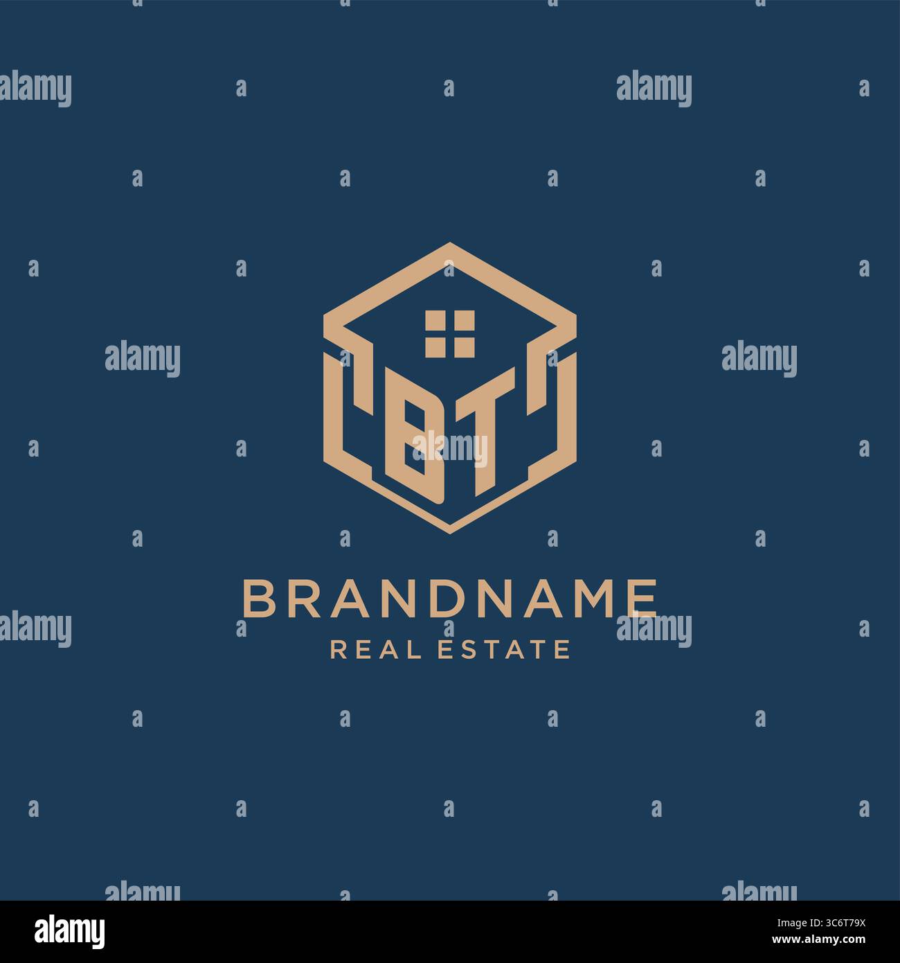 Initial BT hexagonal house roof shape icon logo design vector graphic Stock Vector