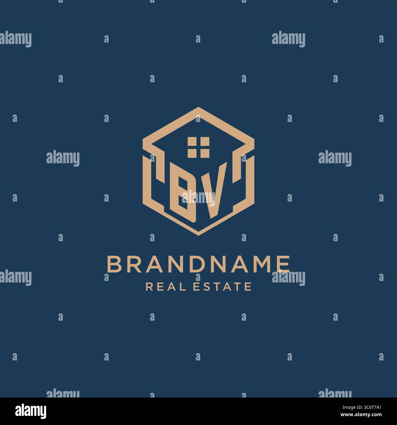 Initial BV hexagonal house roof shape icon logo design vector graphic Stock Vector