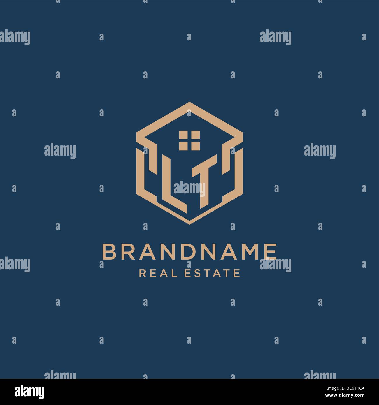 Initial LT hexagonal house roof shape icon logo design vector graphic Stock Vector