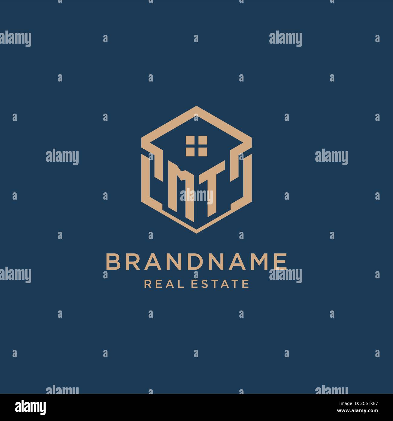 Initial MT hexagonal house roof shape icon logo design vector graphic Stock Vector