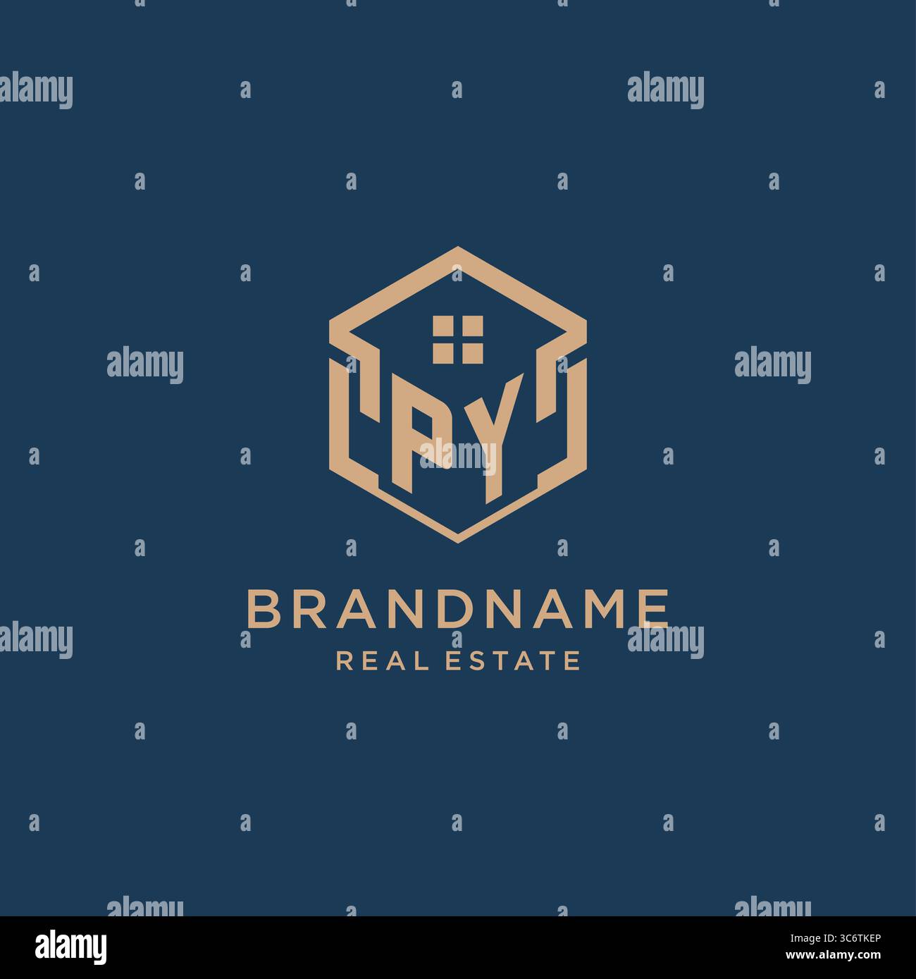 Initial PY hexagonal house roof shape icon logo design vector graphic Stock Vector