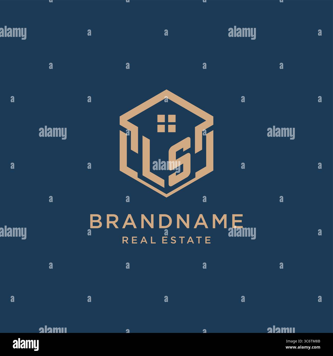 Initial LS hexagonal house roof shape icon logo design vector graphic Stock Vector
