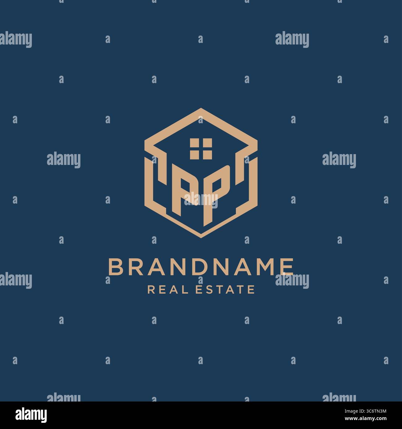 Initial PP hexagonal house roof shape icon logo design vector graphic Stock Vector