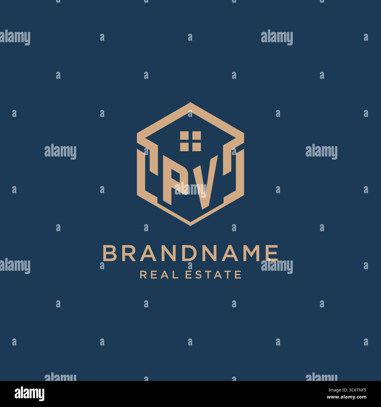 Initial PV hexagonal house roof shape icon logo design vector graphic Stock Vector