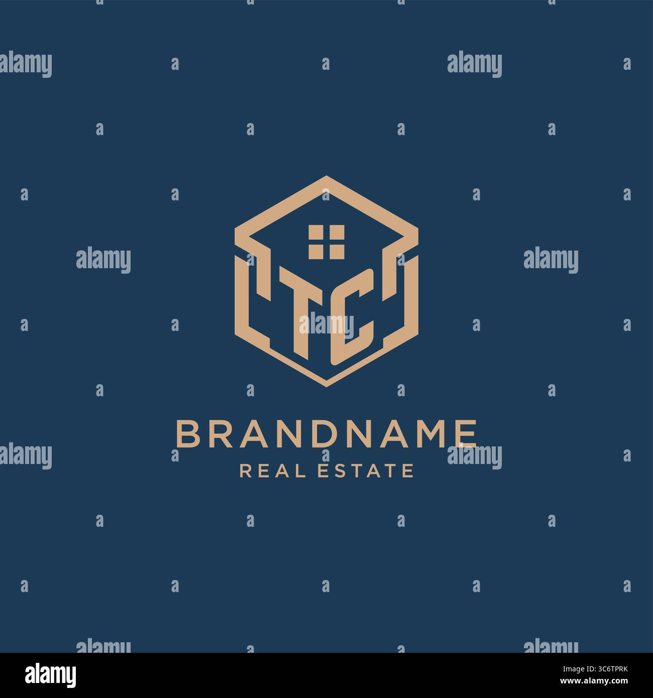 Initial TC hexagonal house roof shape icon logo design vector graphic Stock Vector