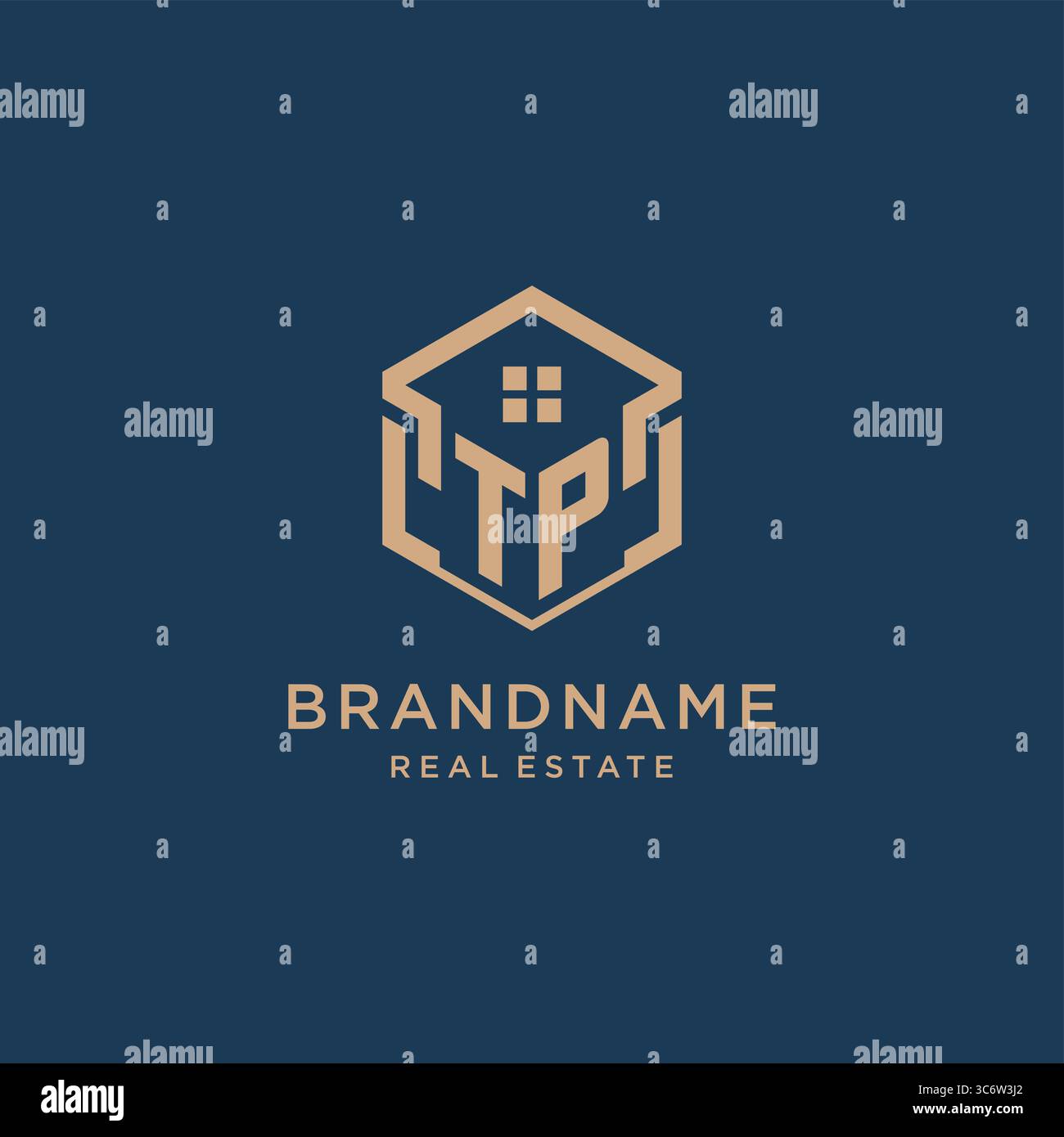 Initial TP hexagonal house roof shape icon logo design vector graphic Stock Vector