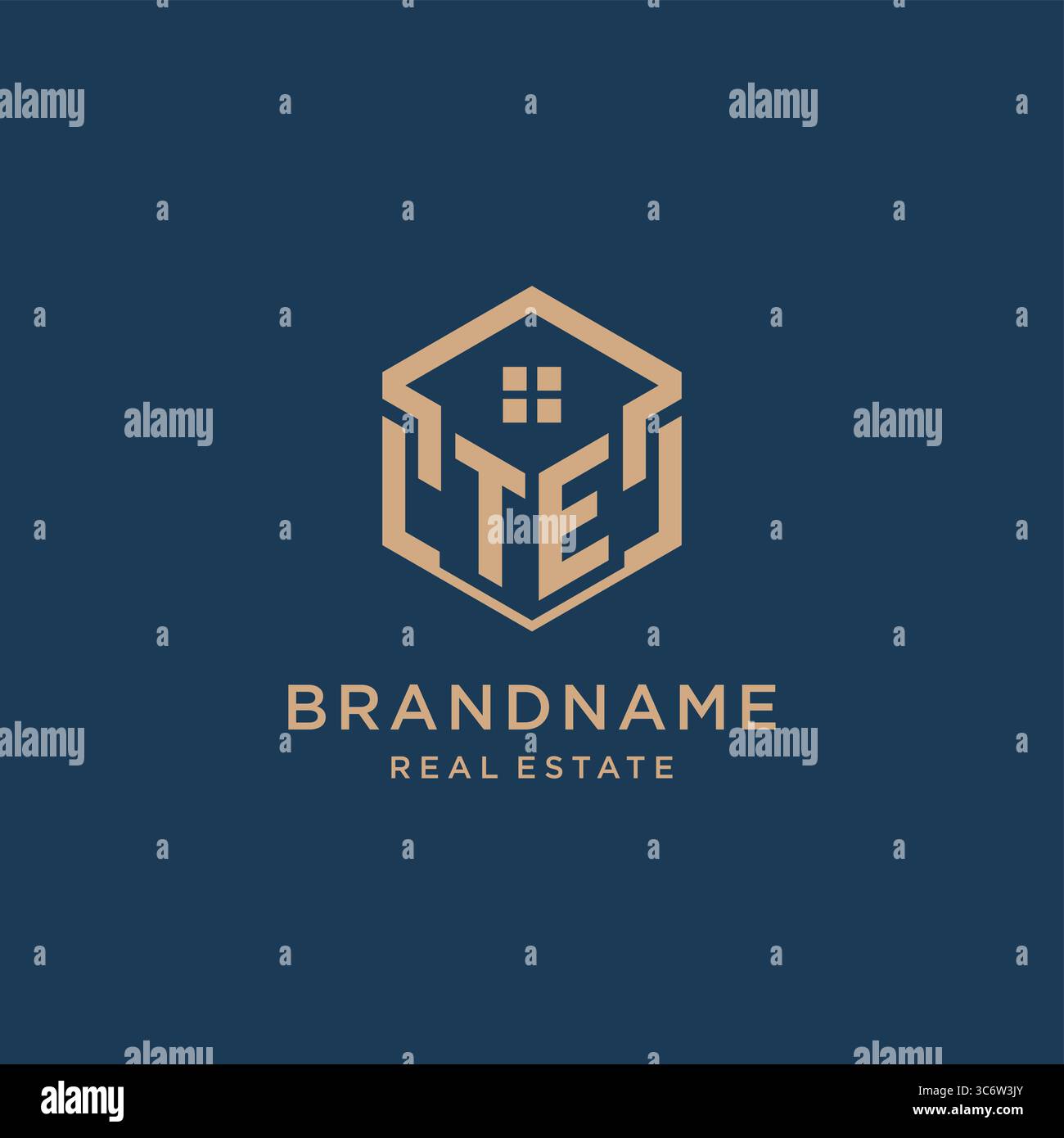 Initial TE hexagonal house roof shape icon logo design vector graphic Stock Vector