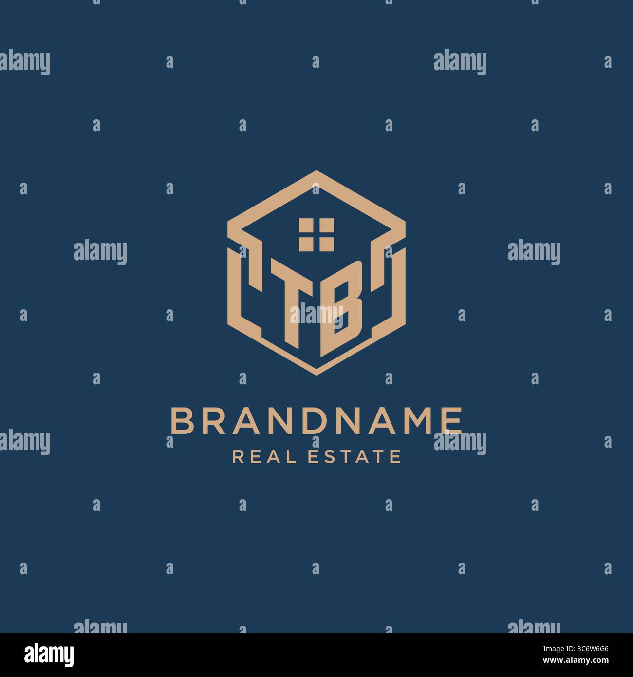 Initial TB hexagonal house roof shape icon logo design vector graphic Stock Vector