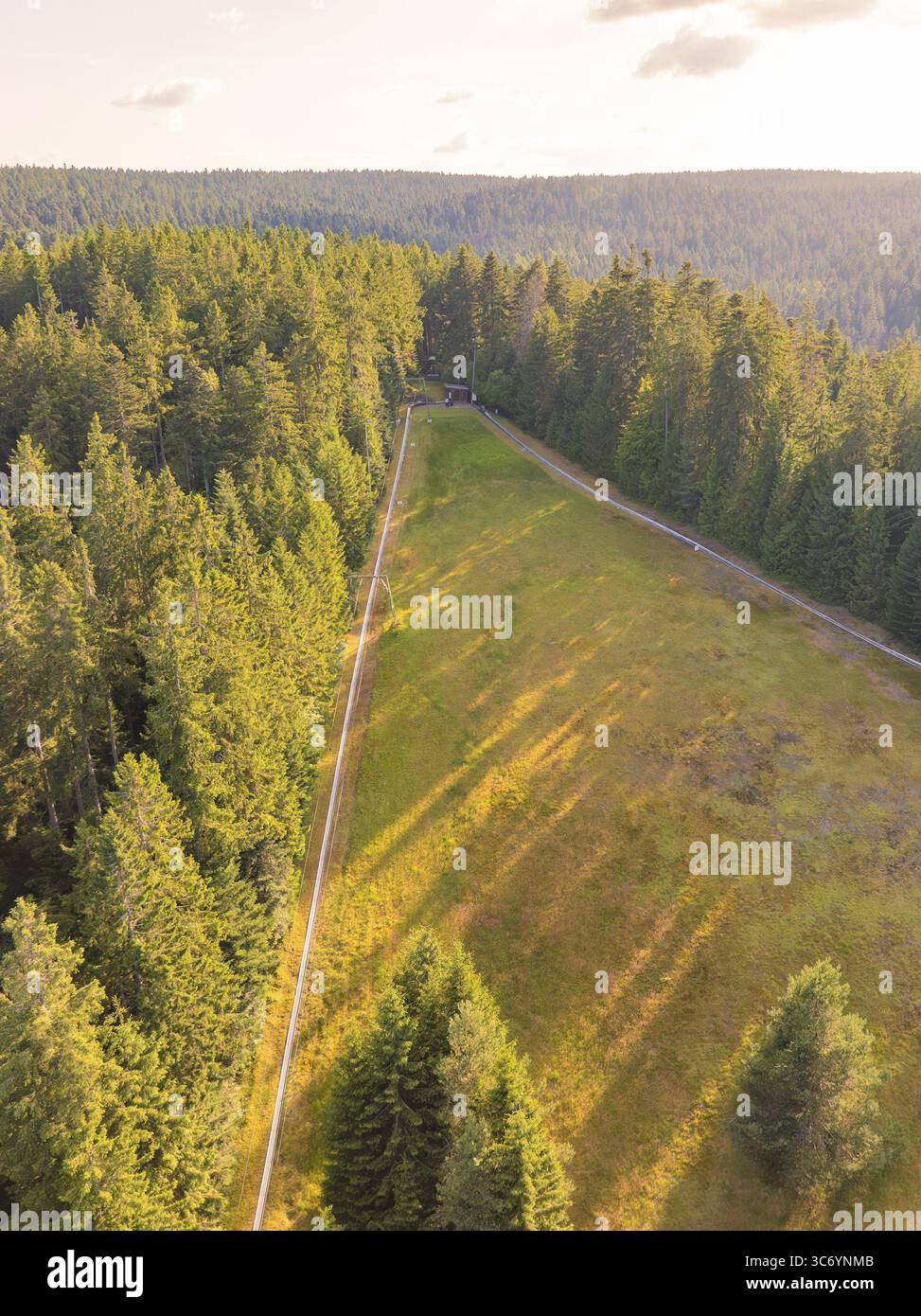 Aerial view of a green forest with open clearing, surrounded by dense ...
